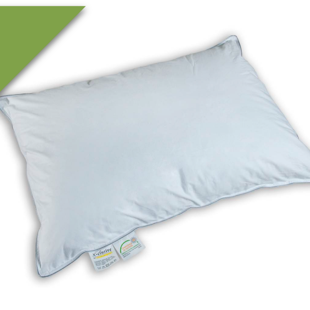 Μαξιλάρι ύπνου δίγαζο pipping antibacterial silk fiber12761