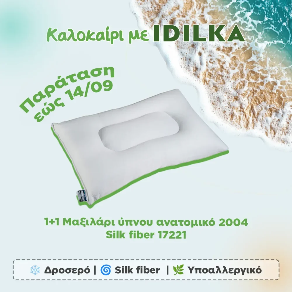 1+1 Μαξιλάρι ύπνου ανατομικό 2004 Silk fiber 17221