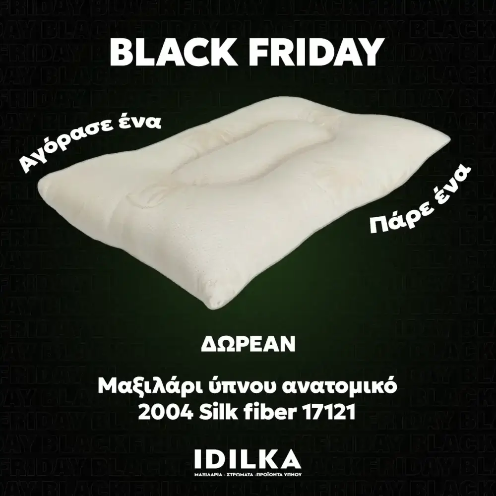 1+1 ΔΩΡΟ Μαξιλάρι ύπνου ανατομικό 2004 Silk fiber 17121