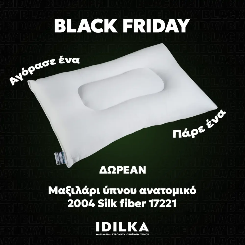 1+1 Μαξιλάρι ύπνου ανατομικό 2004 Silk fiber 17221