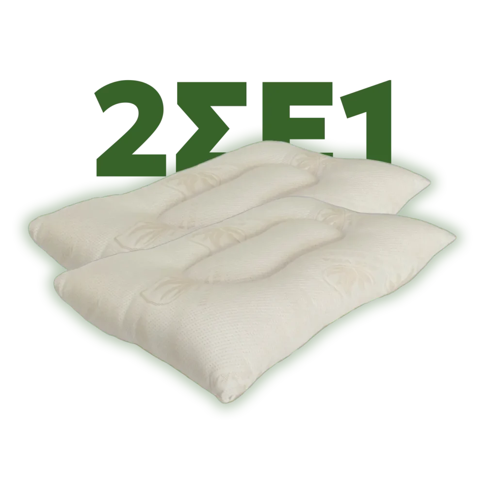 1+1 ΔΩΡΟ Μαξιλάρι ύπνου ανατομικό 2004 Silk fiber 17121