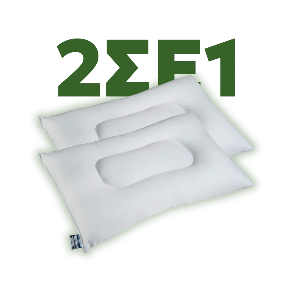 1+1 ΔΩΡΟ Μαξιλάρι ύπνου ανατομικό 2004 Silk fiber 17221