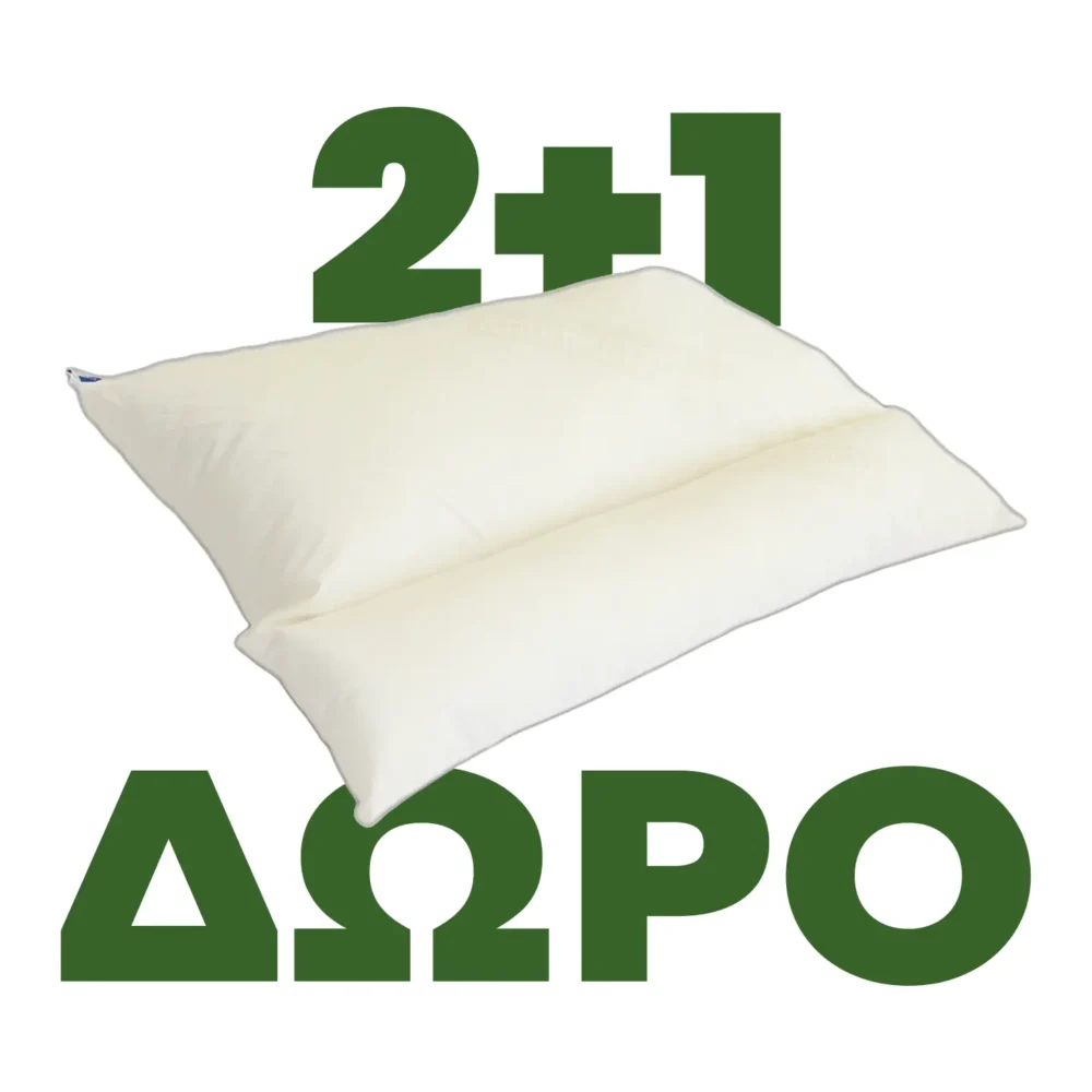 2+1 ΔΩΡΟ Μαξιλάρι ύπνου ανατομικό antibacterial P/C-silkfiber 11204