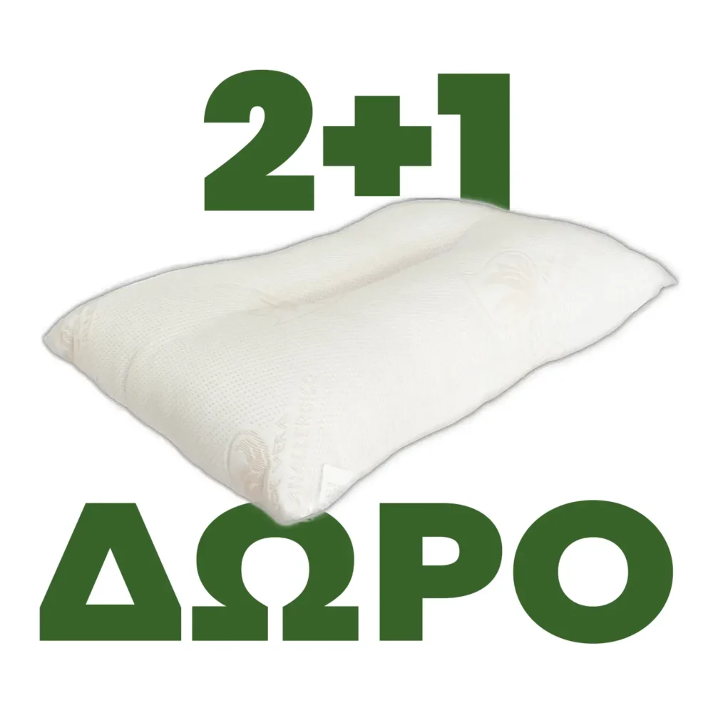 2+1 ΔΩΡΟ Μαξιλάρι ύπνου ανατομικό Silk fiber 11211