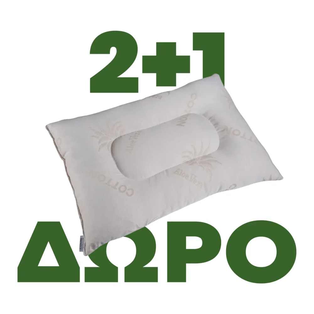 2+1 ΔΩΡΟ Μαξιλάρι ύπνου ανατομικό 2004 Silk fiber 17221